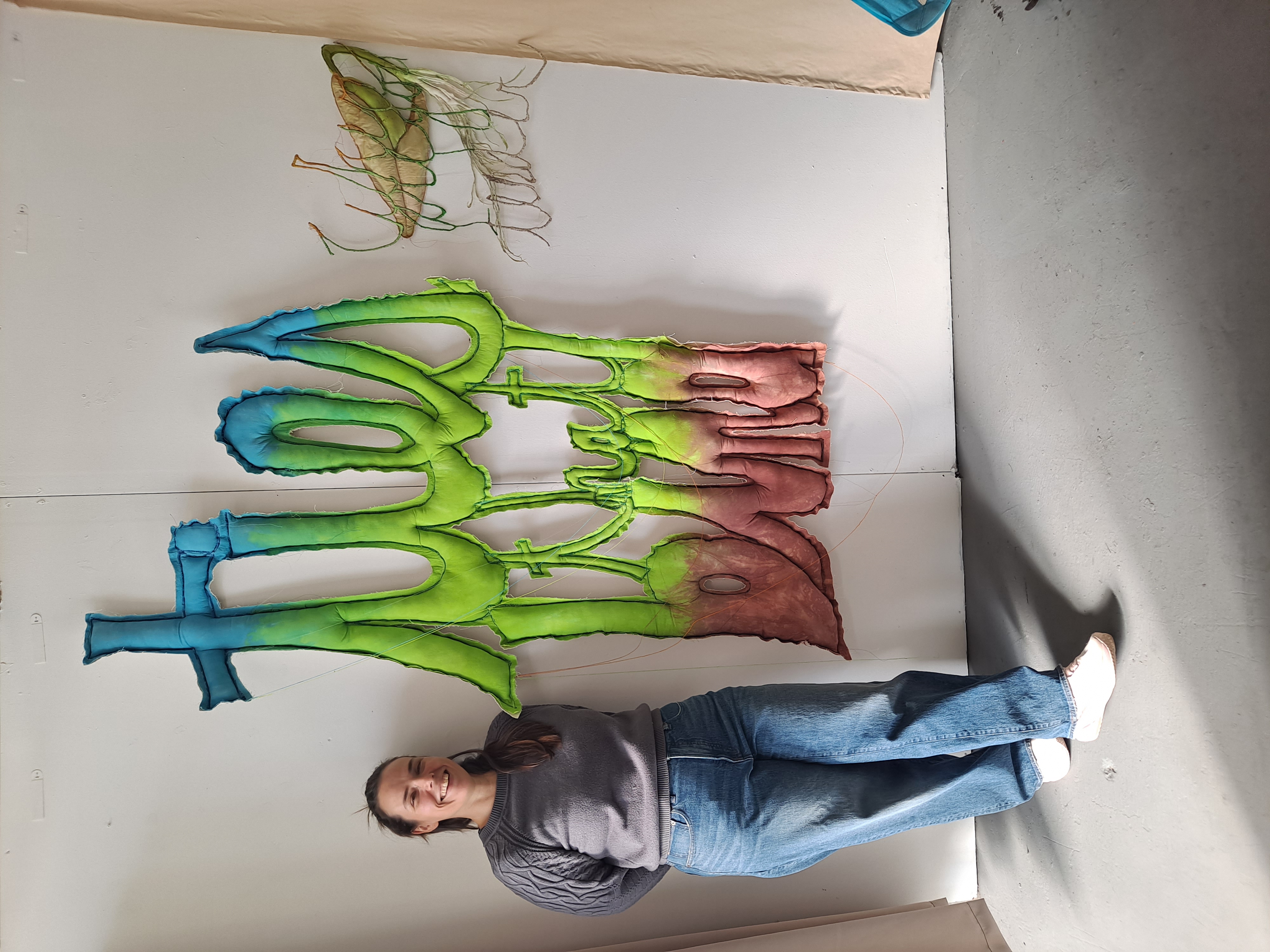 Johanna Ryan Studio